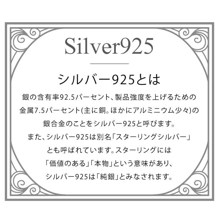 【silver925】チョーカーネックレス(プレーン)